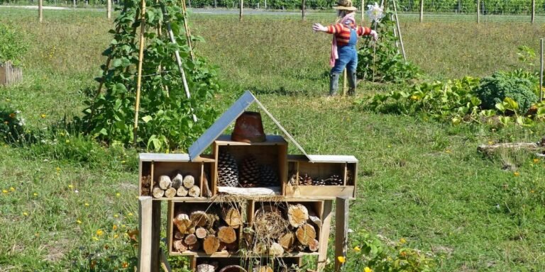 zelfvoorzienend wonen Nederland, afbeelding permacultuur